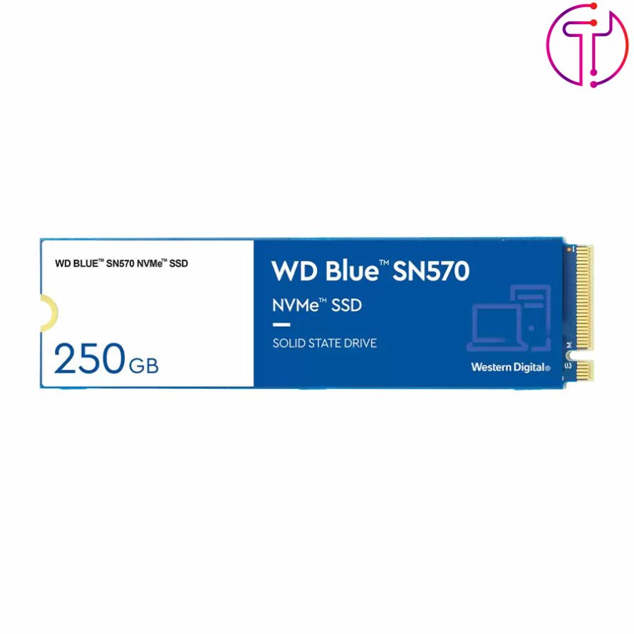 اس اس دی وسترن دیجیتال WD Blue SN570 M.2 2280 NVMe 250GB